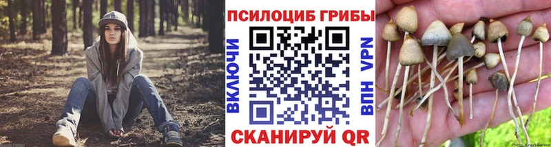 Галлюциногенные грибы GOLDEN TEACHER  Купить где  Олонец 